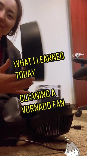 How to Clean a Vornado Fan: Step-by-Step Guide