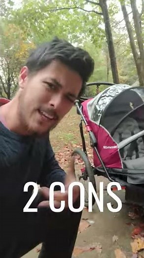 Best Double-Seat Bike Trailer & Stroller | Schwinn Joyrider [REVIEW] #shorts