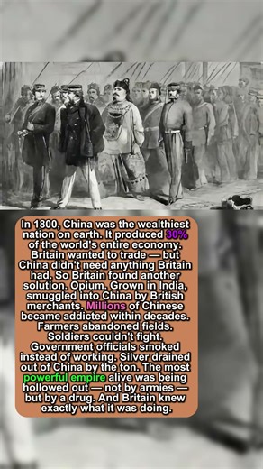 One Drug DESTROYED the World's Richest Empire