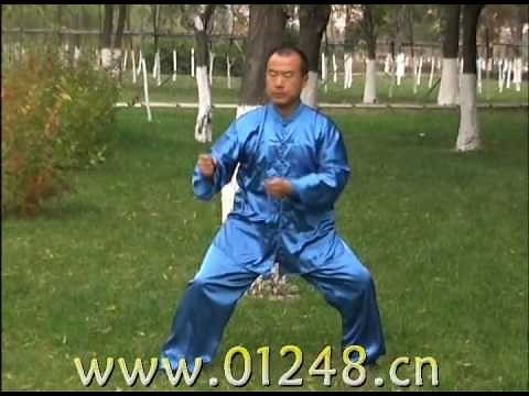 FengZhiqiang Hunyuan Taijiquan 24 Forms by Zhang Jiping