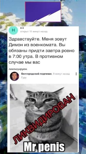 Кринжовые вопросы и ответы майл ру как смысл жизни #упоротые_ответы #мемы #мем #mailru
