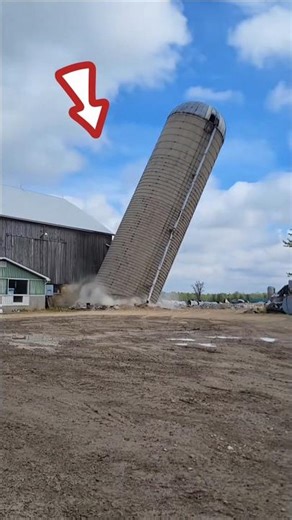 menghancurkan tower silo untuk pakan sapi