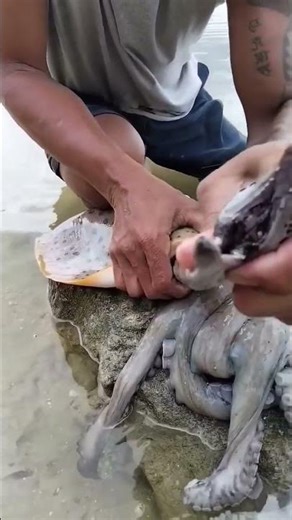 You Won’t Believe What Was Inside This Stingray! 😲