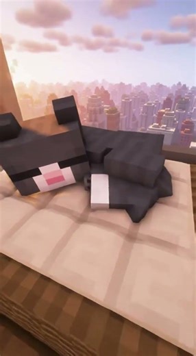 Minecraft Cat Naps on the Couch 🐾💤