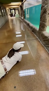 Glass Failure at the Zoo Dateline: Brisbane, Australia. This footage is absolutely terrifying. One second it's a routine feeding, the next it's a flood. The sheer power of that lunge completely compromised the barrier. Watch how the zookeeper gets washed away by the water pressure! | Sophy Vu