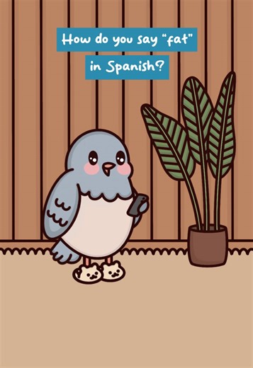 Learning Spanish: Tips and Tricks for Beginners