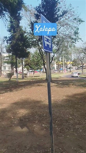 Xalapa, capital of Veracruz and city of flowers. #viral