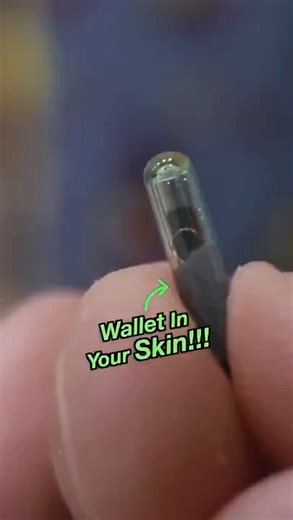 This Chip Lets You Pay With Your Hand 🤯