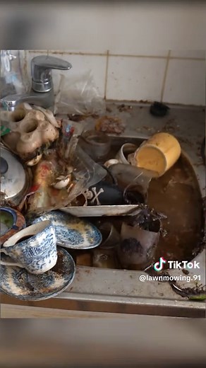 Hoarder House Deep Clean: Hoarding Cleanup of Abandoned Home