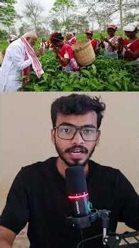 Modi Took a Selfie, Never Had a Talk 🎭 #ModiExposed #AssamElections