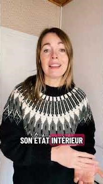 Les animaux peuvent-ils vraiment communiquer avec nous ?