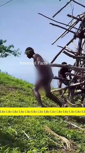 Land Diving: The Ancient Ritual That Became Modern Bungee Jumping