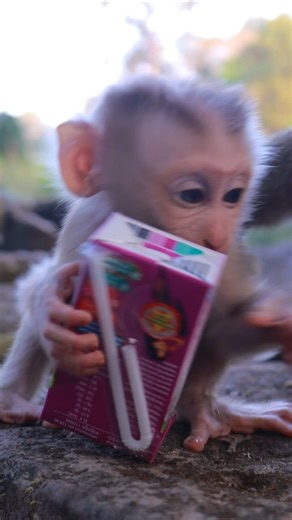 Awesome Sweetie Baby Levy Playing