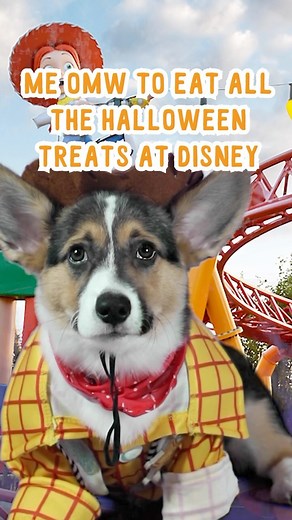 Disney Food Blog on Instagram: "Actual footage"