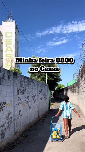 Minha feira no CEASA Curitiba 0800 - dicas e o que encontrar