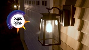 Shelby Collection Energy Star Outdoor Wall Sconce with Integrated GFCI and Dusk-to-Dawn Sensor, LED Edison Bulb Included, Black Finish