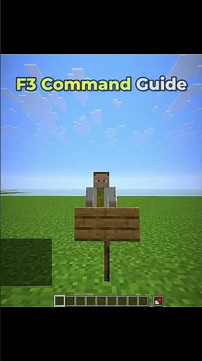 Minecraft F3 Commands 💀