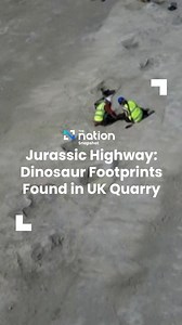 Jurassic Highway: Dinosaur Footprints Found in UK Quarry . Over 200 Dinosaur footprints found in a UK quarry, revealing the movements and interactions of ancient giants from 166 Million Years Ago. . #England #Dinosaurs #Footprints #Discovery #Jurassic #TheNation | The Nation Thailand