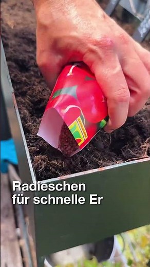 Was soll ich Ende August noch säen?