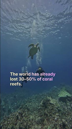Coral Reefs Are Disappearing Faster Than We Think