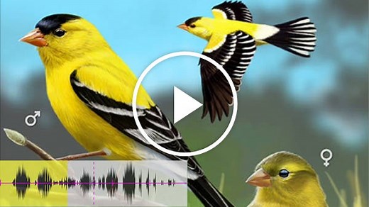 App Smart: Nature Apps