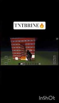 Minecraft TNTBRINE 🔥 Wht?