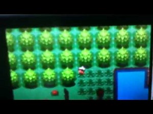 How to catch a lotad in Pokemon ruby sapphire elmerld