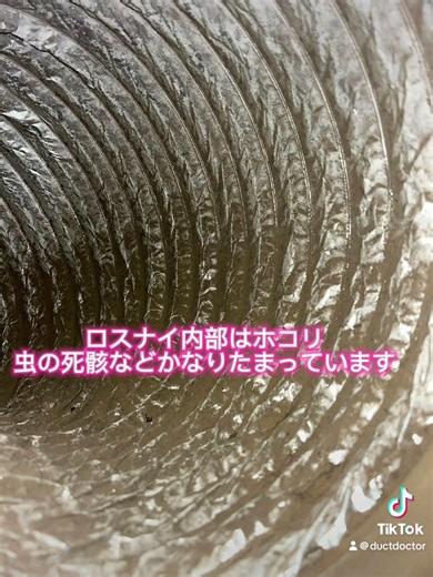 所沢市ケータイショップ ロスナイダクト清掃