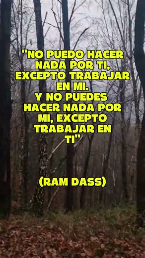 FRASES CANALIZADAS PARA HOY #canalización #amor #leydeatraccion #5d #sanaciones