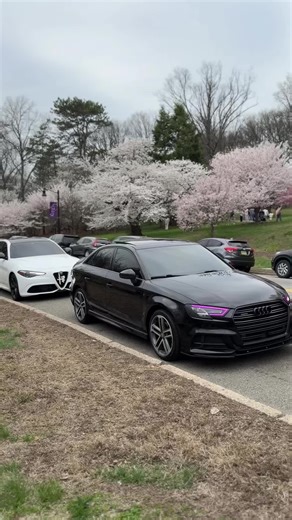 Audi vs. Alfa Romeo: Driver's Dream?