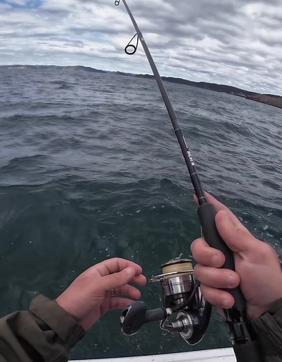 Ultimate Lure Fishing Videos for Big Fish Catching