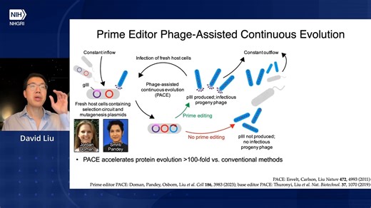 Evolved Base Editors, Prime Editors, Recombinases, and Transposases for Targete