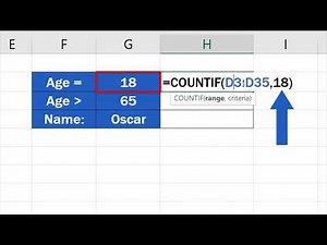 COUNTIF Function in Excel