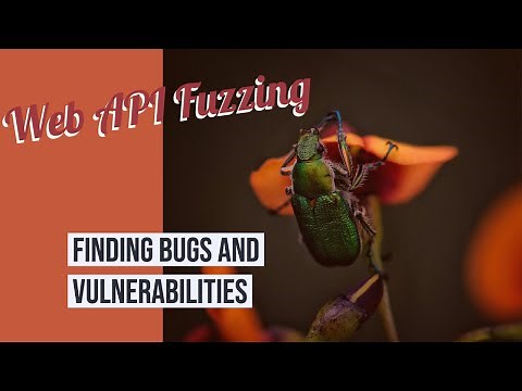 Catching Bugs through Web API Fuzzing - OpenAPI