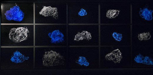 When artists get involved in research, science benefits