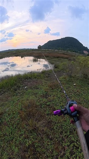 Effective Techniques for Casting Fishing Rods