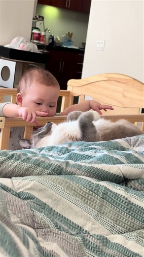 Adorable Baby and Kitty Moments
