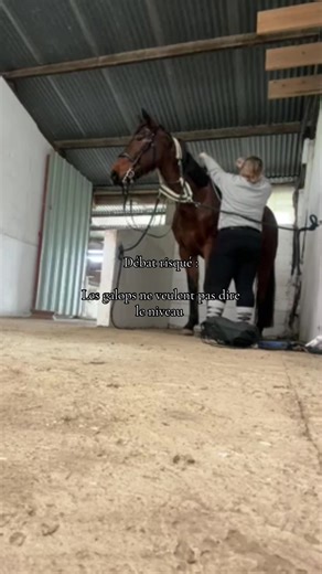 Débat risqué, mais nécessaire : les galops ne définissent pas le niveau ! Je l’ai entièrement débourré(e) moi-même alors que je n’avais qu’un galop 1 Est-ce que tout a été parfait dès le début ? Non. Ça a pris du temps, il y a eu des erreurs, des remises en question, et il reste encore du chemin à faire. Mais le niveau ne se résume pas à un diplôme ou à un chiffre. Il se construit avec le travail, la patience, la détermination et surtout le bon entourage. Quand on veut apprendre, qu’on s’investi