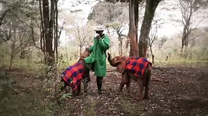 334K views · 7.2K reactions | Make a wish come true There are 89...