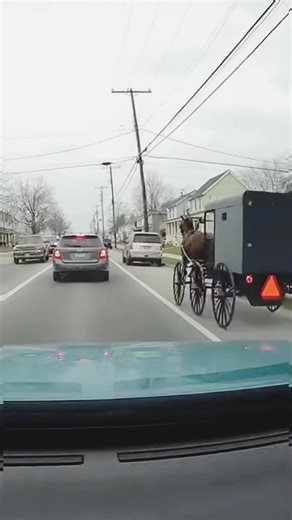 Life without engines 🐎 #AmishLife #HorseAndBuggy #SimpleLiving #RuralAmerica #USAReels