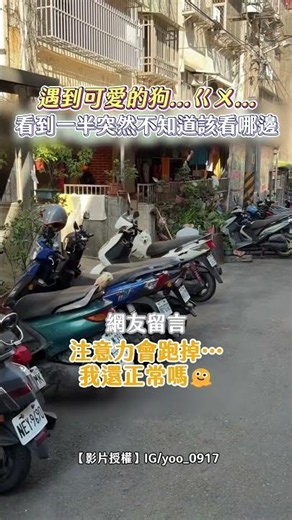 遇到可愛的狗...ㄍㄨ... 看到一半突然不知道該看哪邊 #shorts ‪@ChinaTimes‬