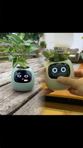 POV: Your plant can speak…