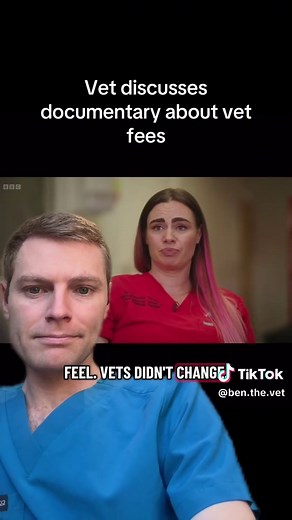 Understanding Changes in Veterinary Care and Fees