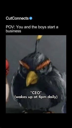 Cut Connects on Instagram: "POV: You and the boys start a business and suddenly everyone thinks they’re a CEO. One guy’s making “strategic decisions,” another’s designing a logo that looks like it was made on a toaster, and someone else is trying to negotiate deals with absolutely no plan. It’s chaotic, unprofessional, and somehow still the most fun you’ve had in years. Every meeting feels like world domination… even if you don’t have a single customer yet. And the vibe matches The Angry Birds M