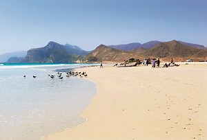 Mare in Oman: le spiagge più belle del Sultanato