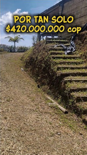 🌿 LOTE EN VENTA – VÍA LA GRAMÍNEA / VÍA ARMENIA