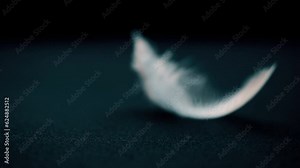 Feather of bird moves from the air flow on background. Super slow motion video concept in extreme macro details. Background for music video or as illustration of life path. Place for text. Copy space