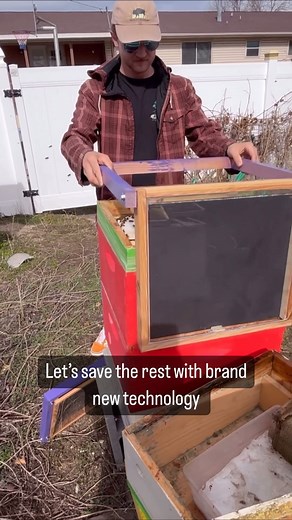 Confused Beekeeper on Instagram: "Hive Heater explained: getting out of the shower is a chilly experience🥶 But once you’ve dried off you’re significantly warmer. Bees are much the same🐝☀️ The inside of a beehive is rather moist. The moisture freezes bees and causes mold to grow, eventually killing the colony. Using the sun, the Hive Heater dries out your hive in the dead of winter. Preorder yours for the coming winter and save your bees. Link in bio. Product by @honeyhavensupply"