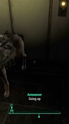 Dogmeat and I ditch the girls 🏃‍♂️