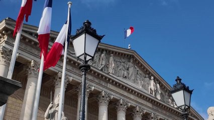 Quel est le rôle du Conseil économique, social et environnemental (Cese) ?